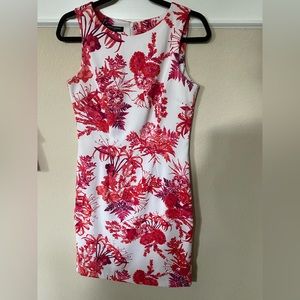 Mario Serrani Ladies Shift Dress